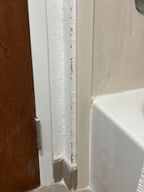 The rust colored substance near the shower.