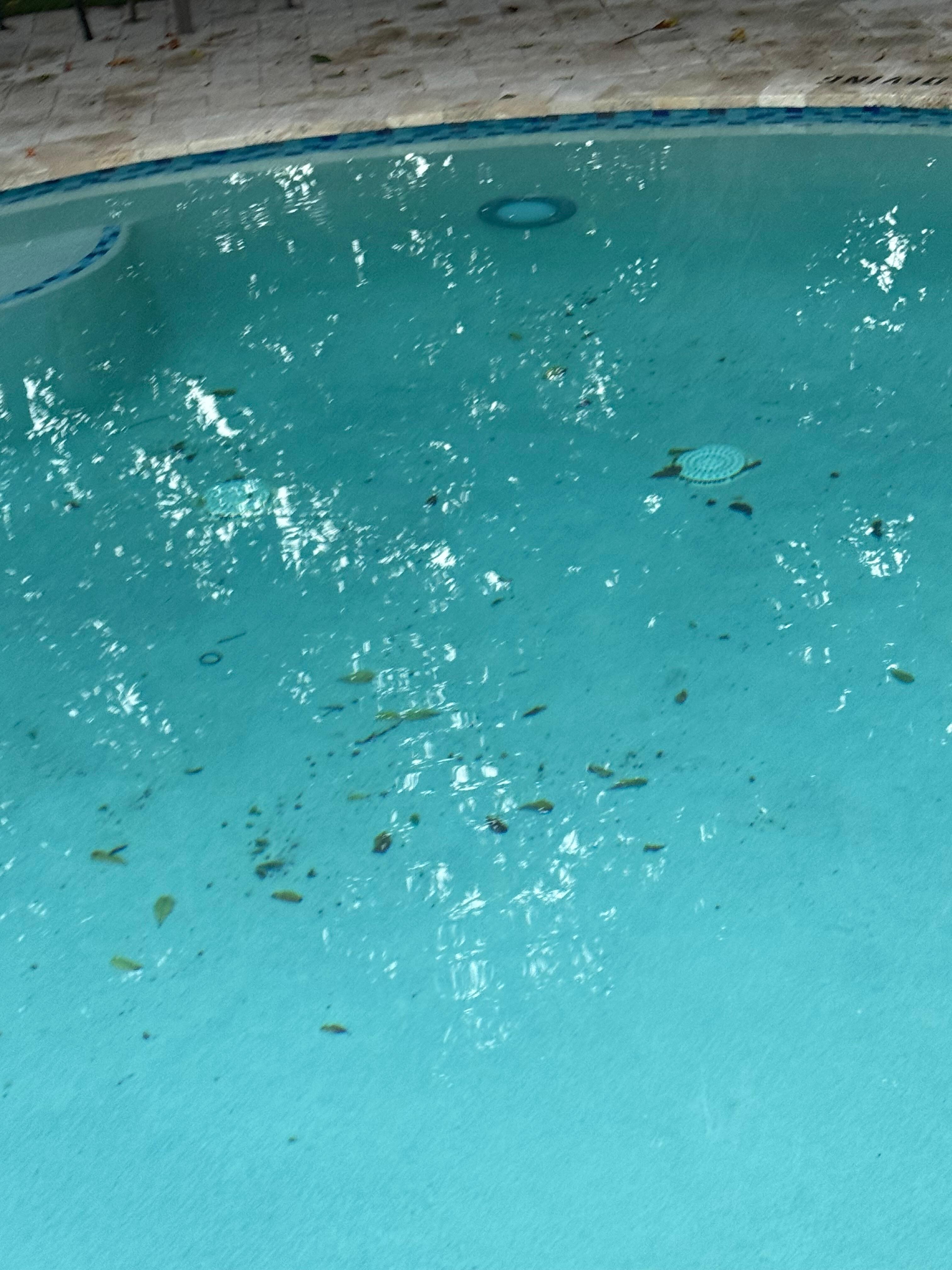 Debris in pool