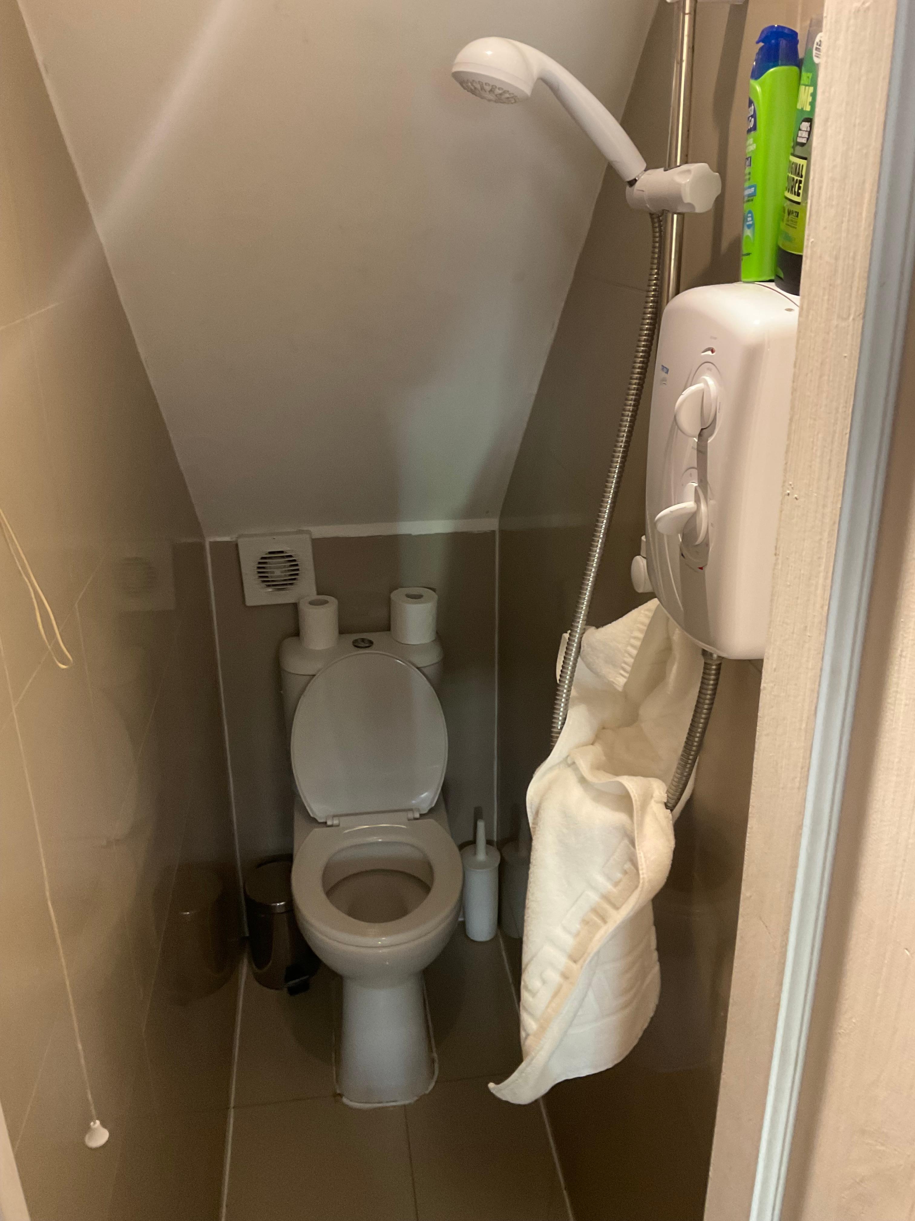 Tiny bathroom. 3 steps down.