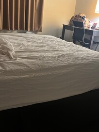 Other bed unused, once I removed the covers.