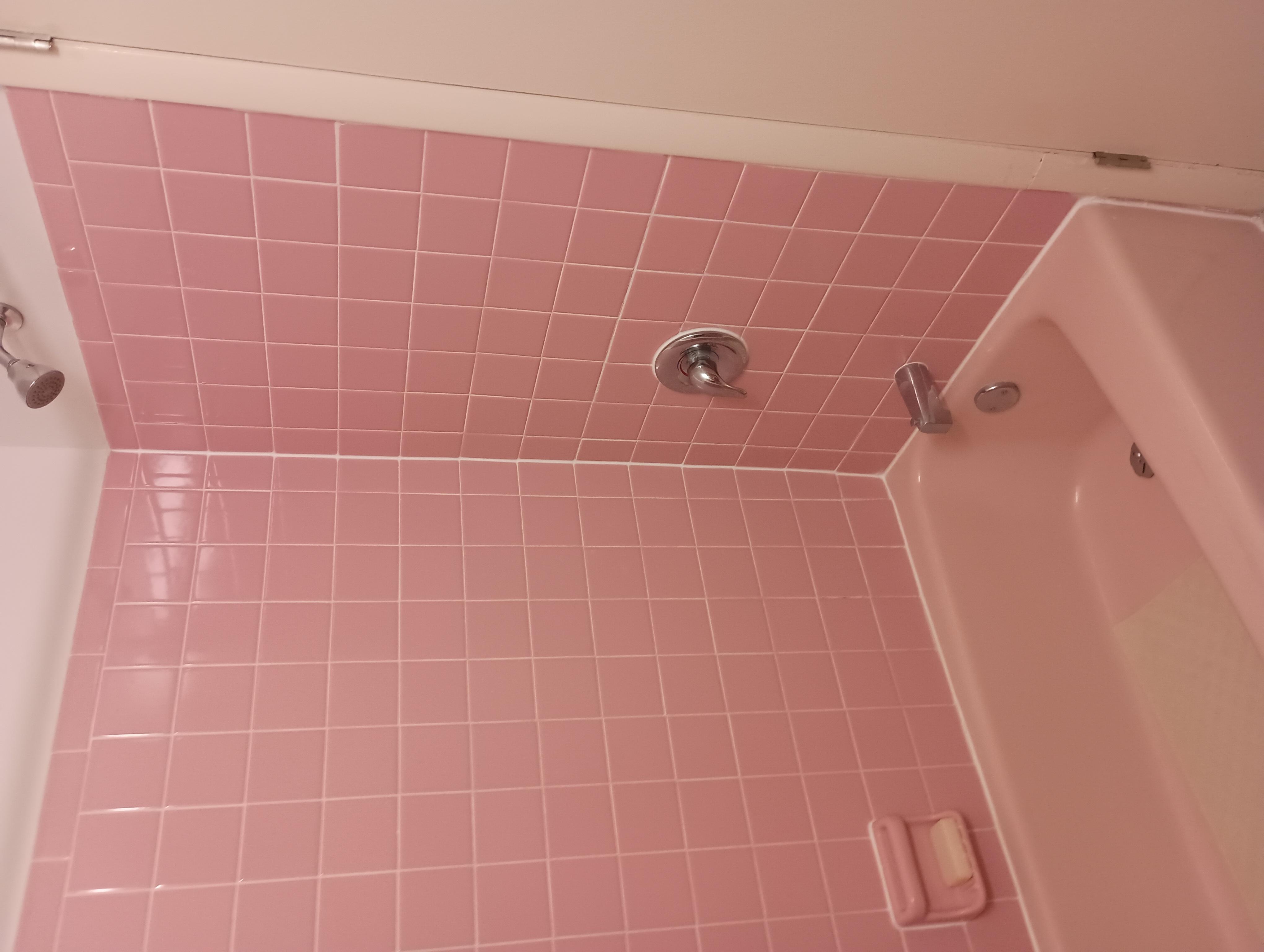 The pink bathroom I fell in love with
