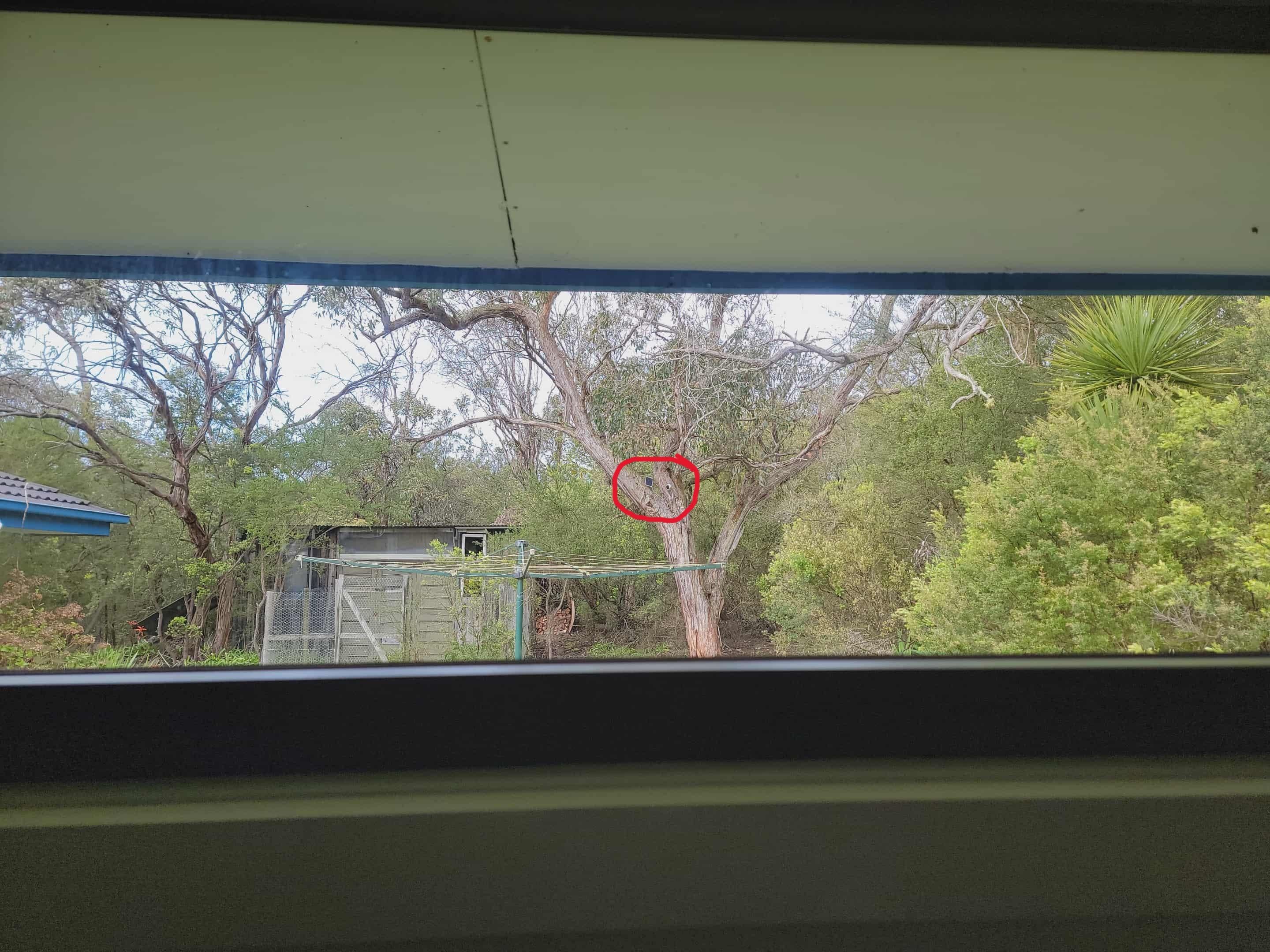 Security camera viewed from kids bedroom window 