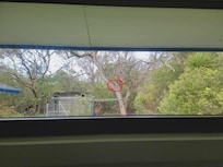 Security camera viewed from kids bedroom window