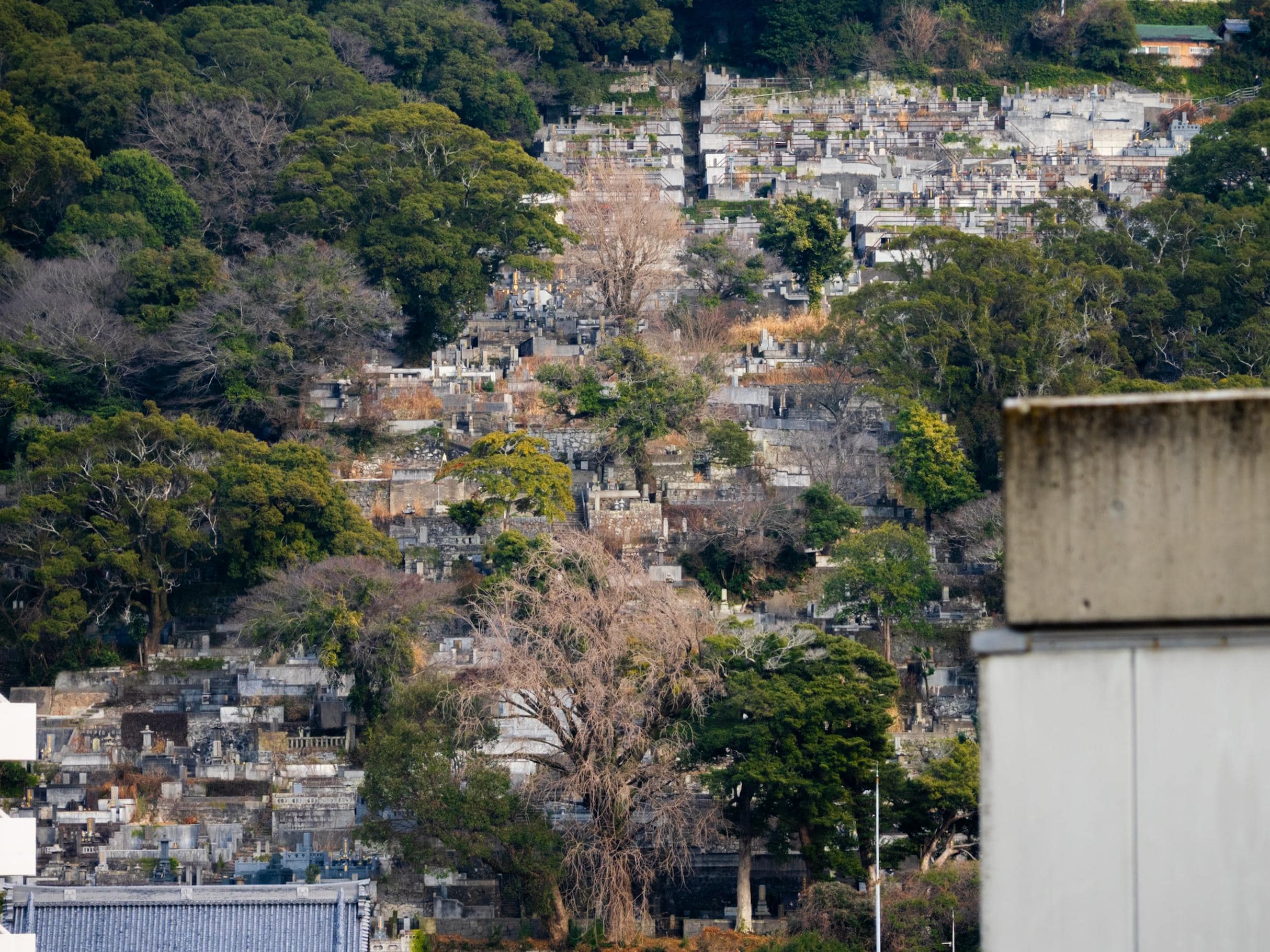 View from room of cemetery on the hills.