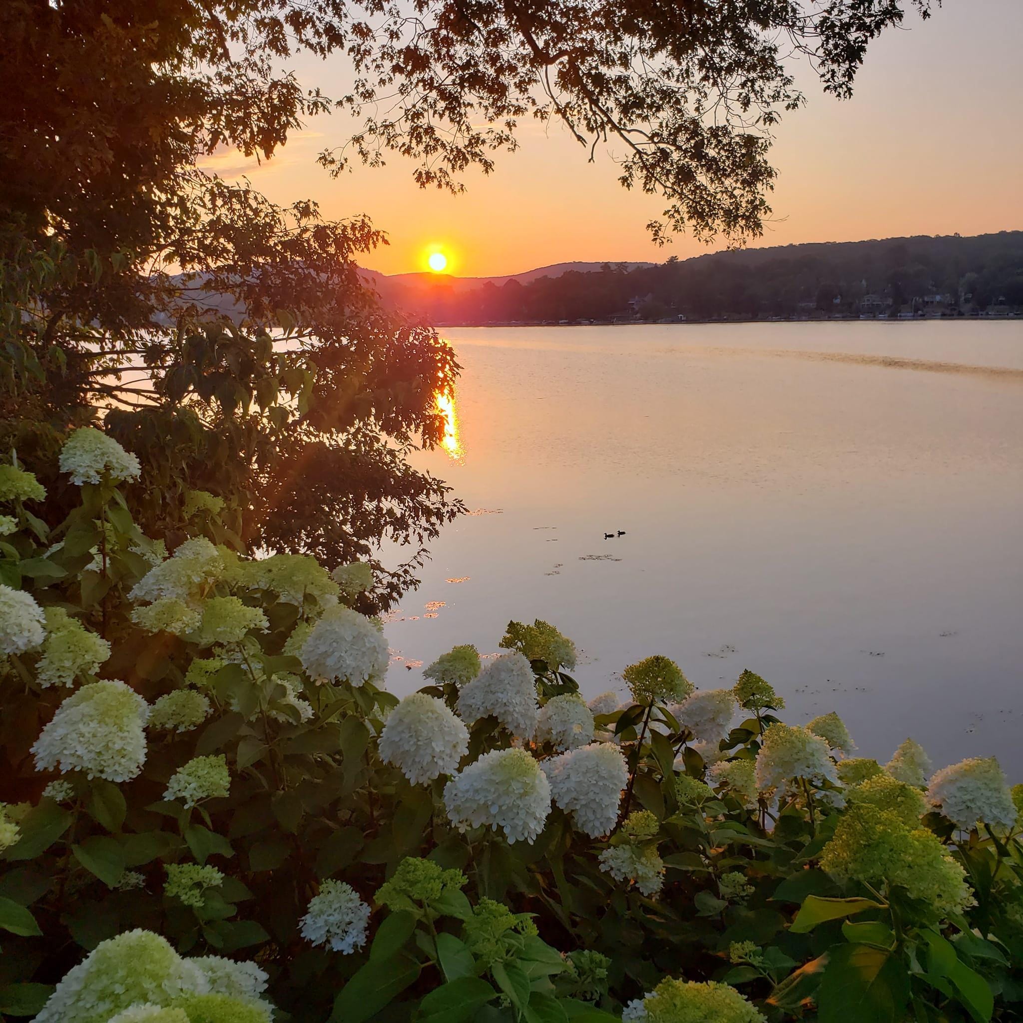 Got up early one morning to see the beautiful sunrise.