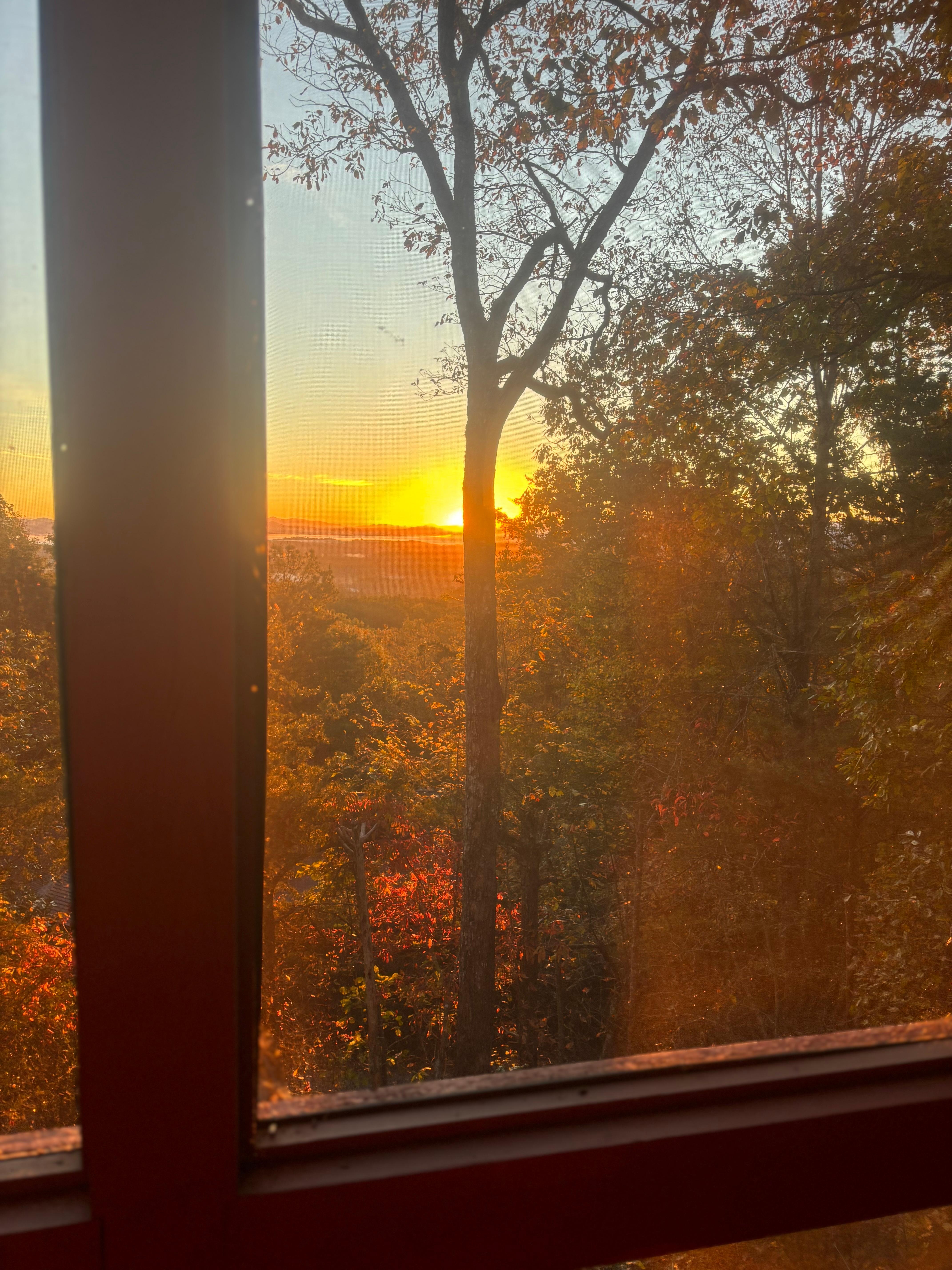 Our lovely view on the back porch.