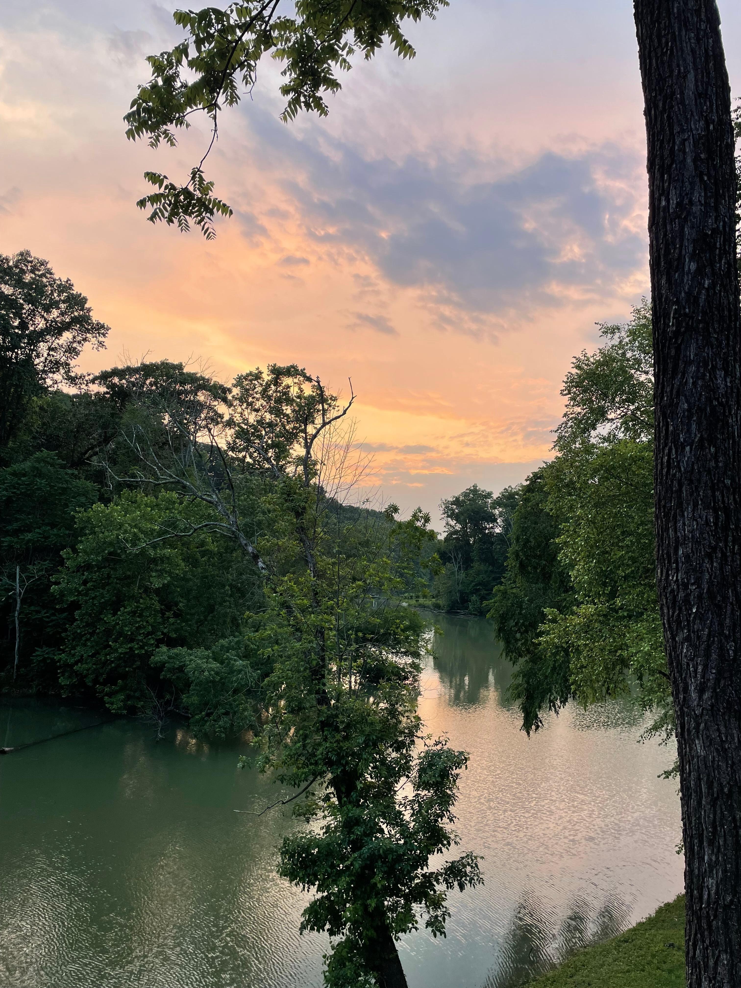 The view from the porch
