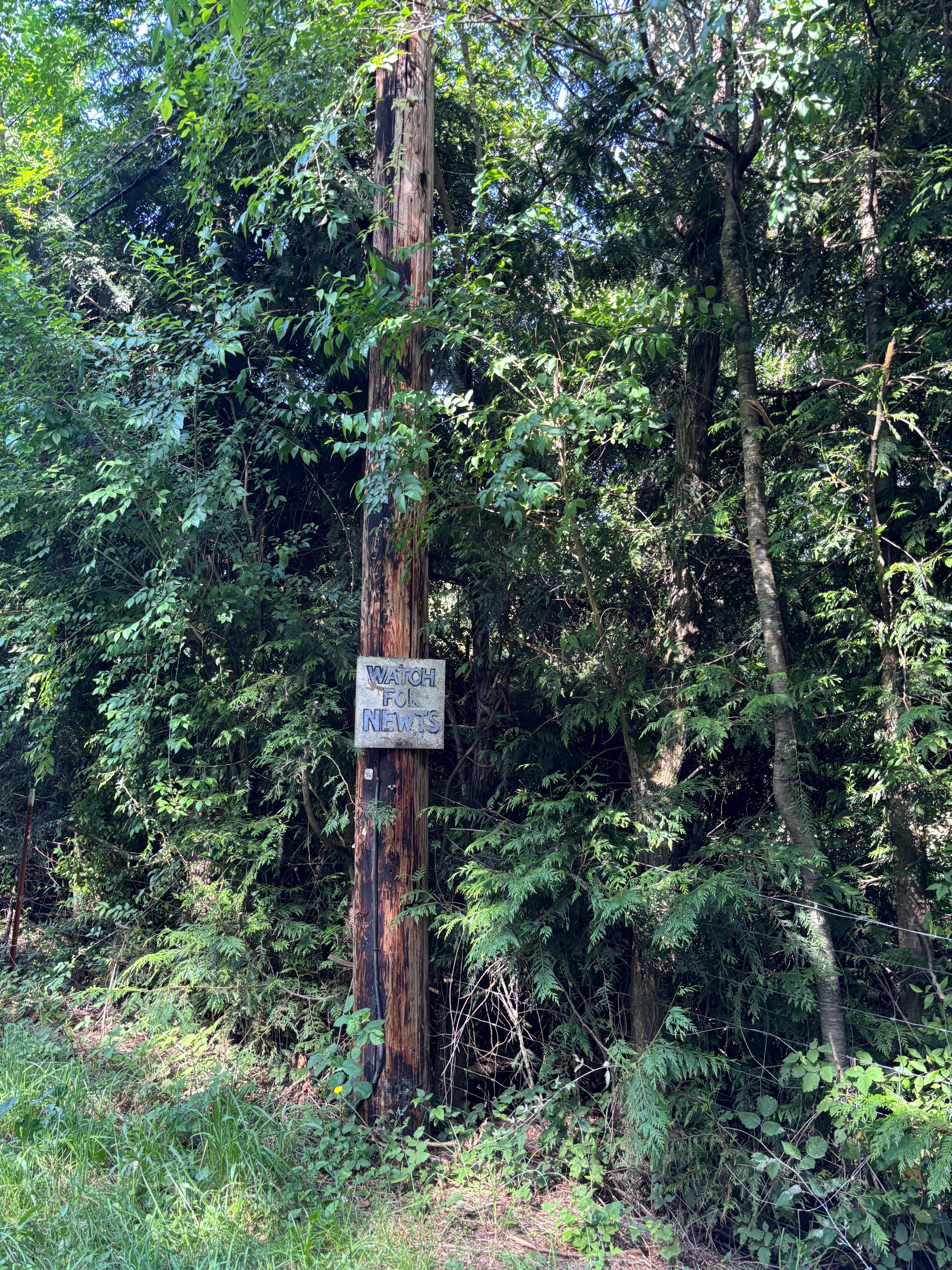 One of our landmarks to remind us the turn is coming right up!