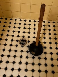 This is just after I plunged the clogged shower drain.