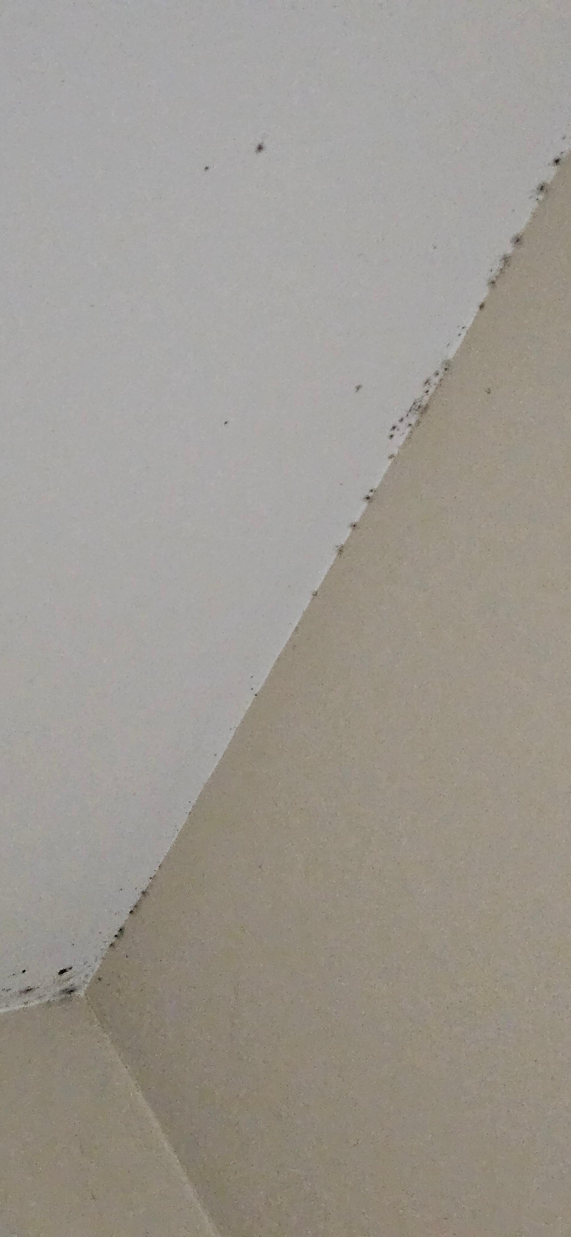 Mold on bathroom ceiling all around took several photos of this and clearly they knew there was a problem and still put ppl in the room. Health hazard and illegal, this place shld be shut down! 