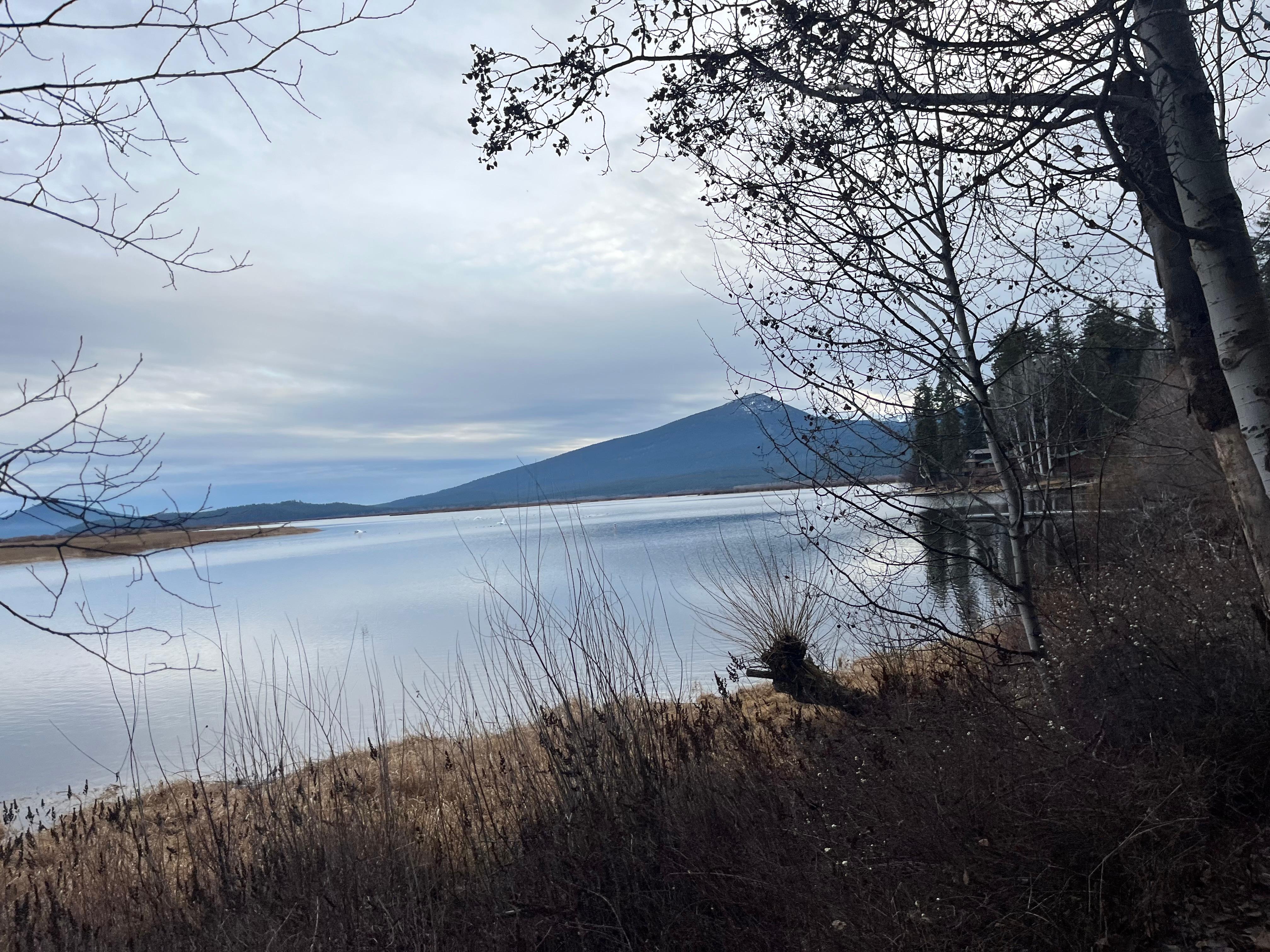 View from the property