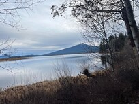 View from the property