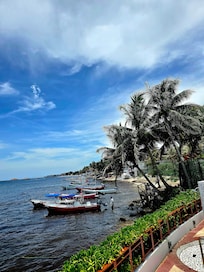 View from the Beach