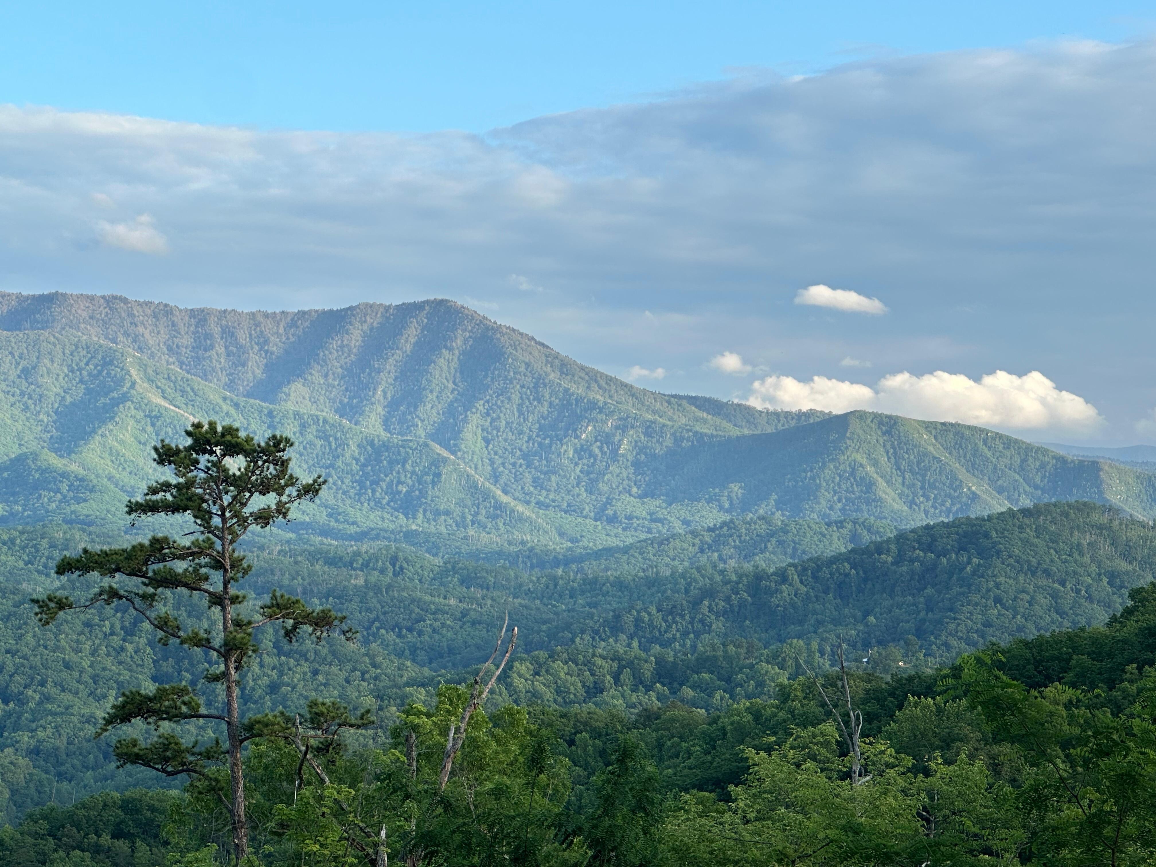 View from the deck.