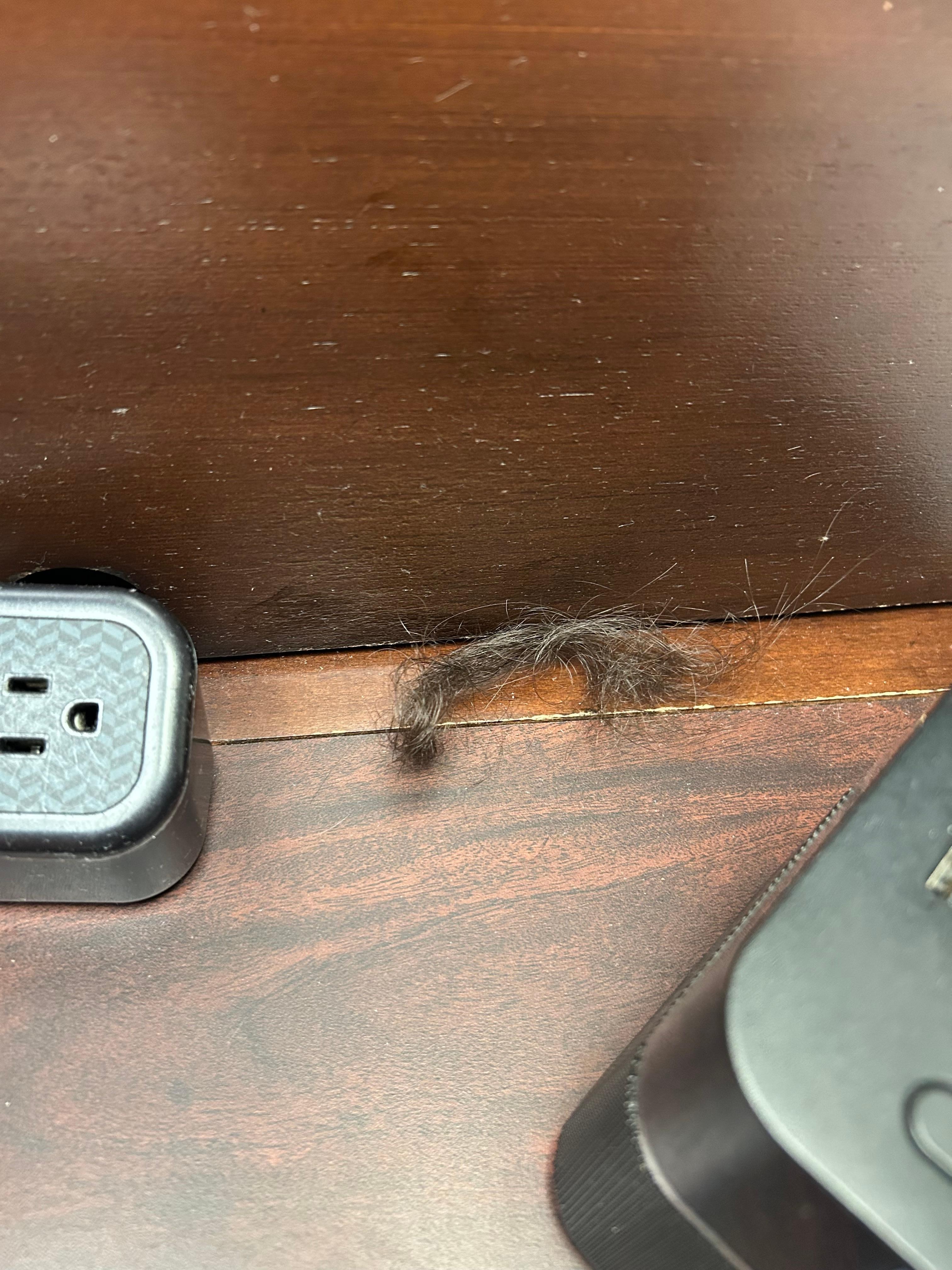 This was left on our night stand