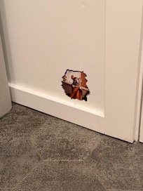 Little hidden mice throughout the house! Our little one had fun seeking them out!