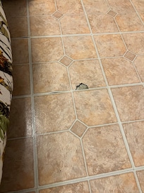Tile ripped in the bedroom