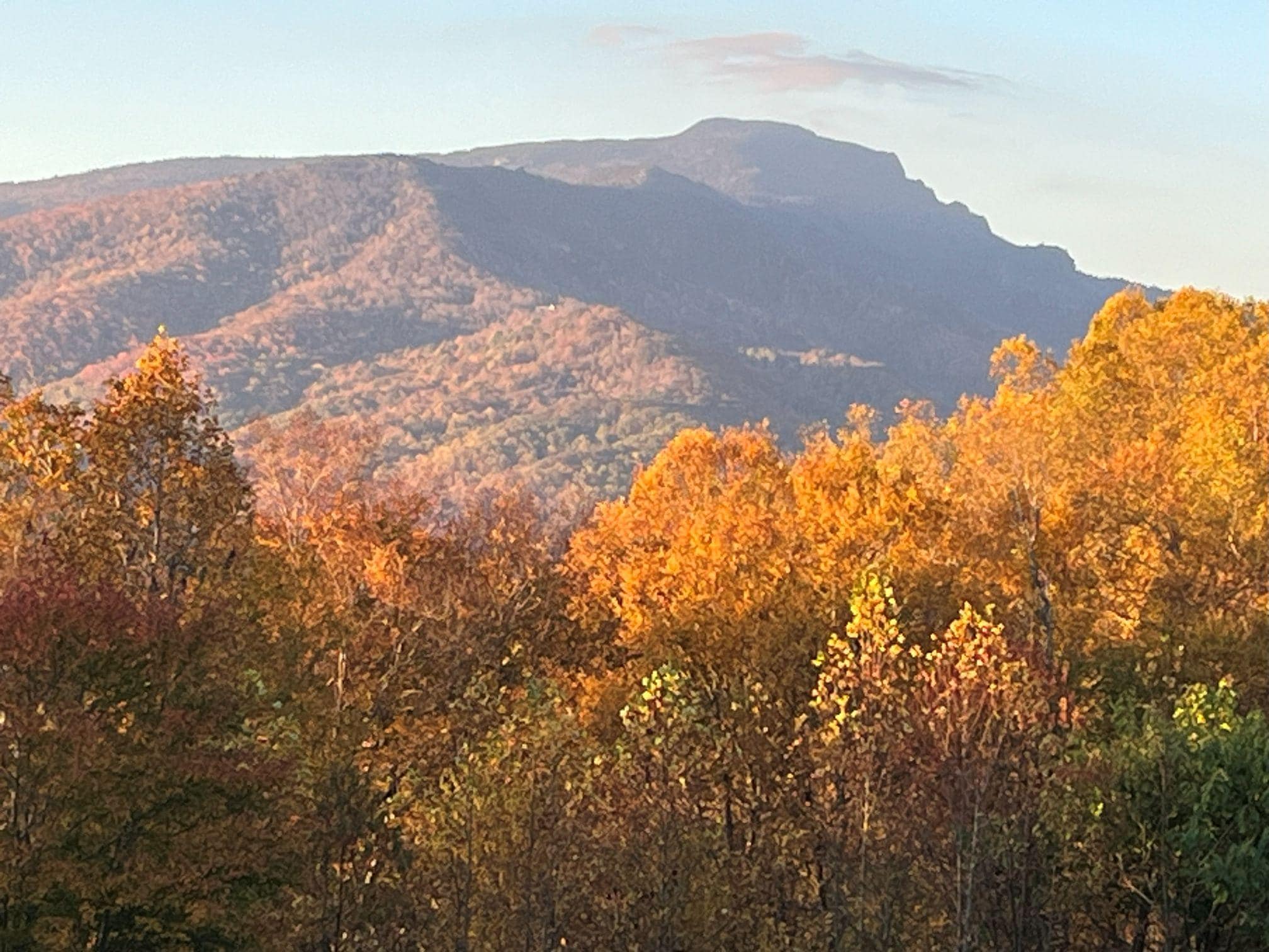 Grandfather from the deck
