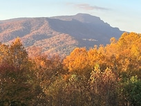 Grandfather from the deck