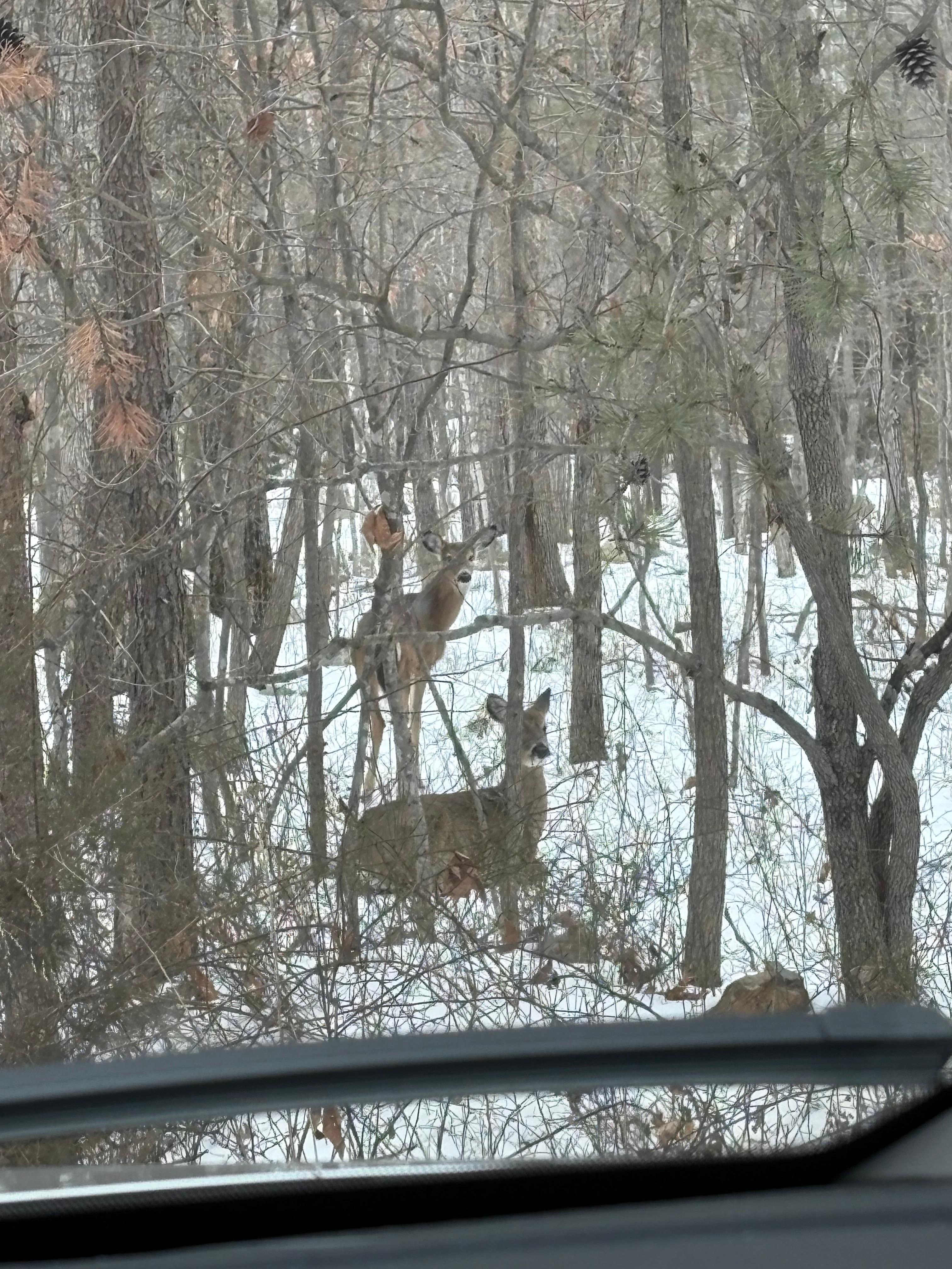 Surrounded be nature’s beauty!