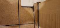 Black mold