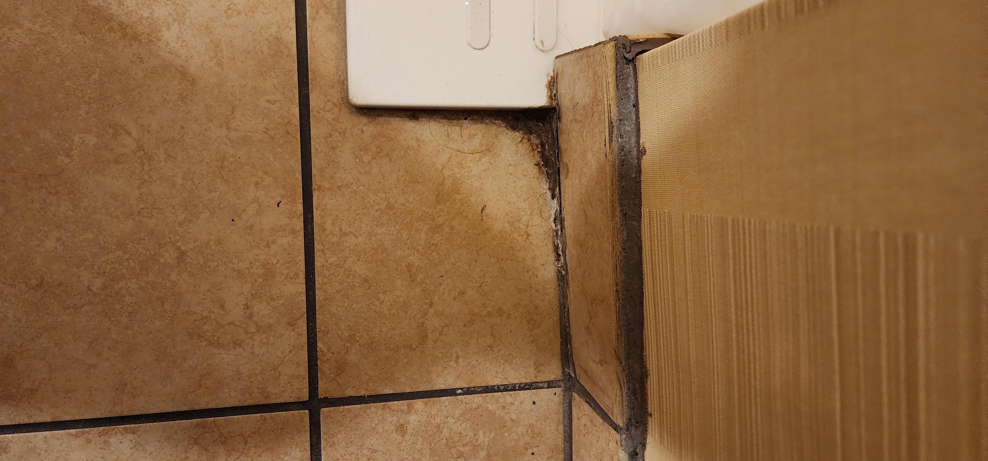 Black mold