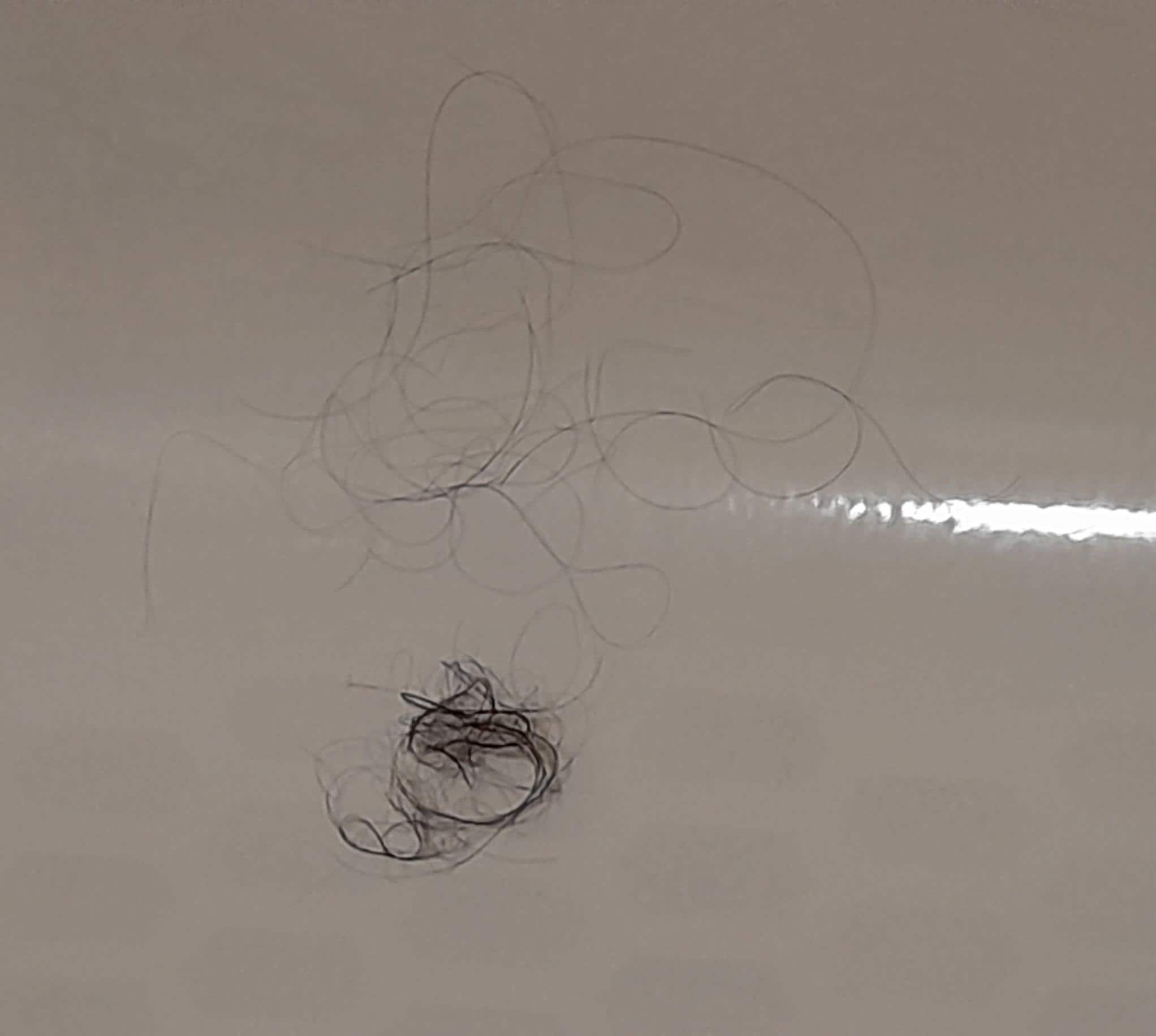 Large clumps of someone else's hair in the tub when we arrived.