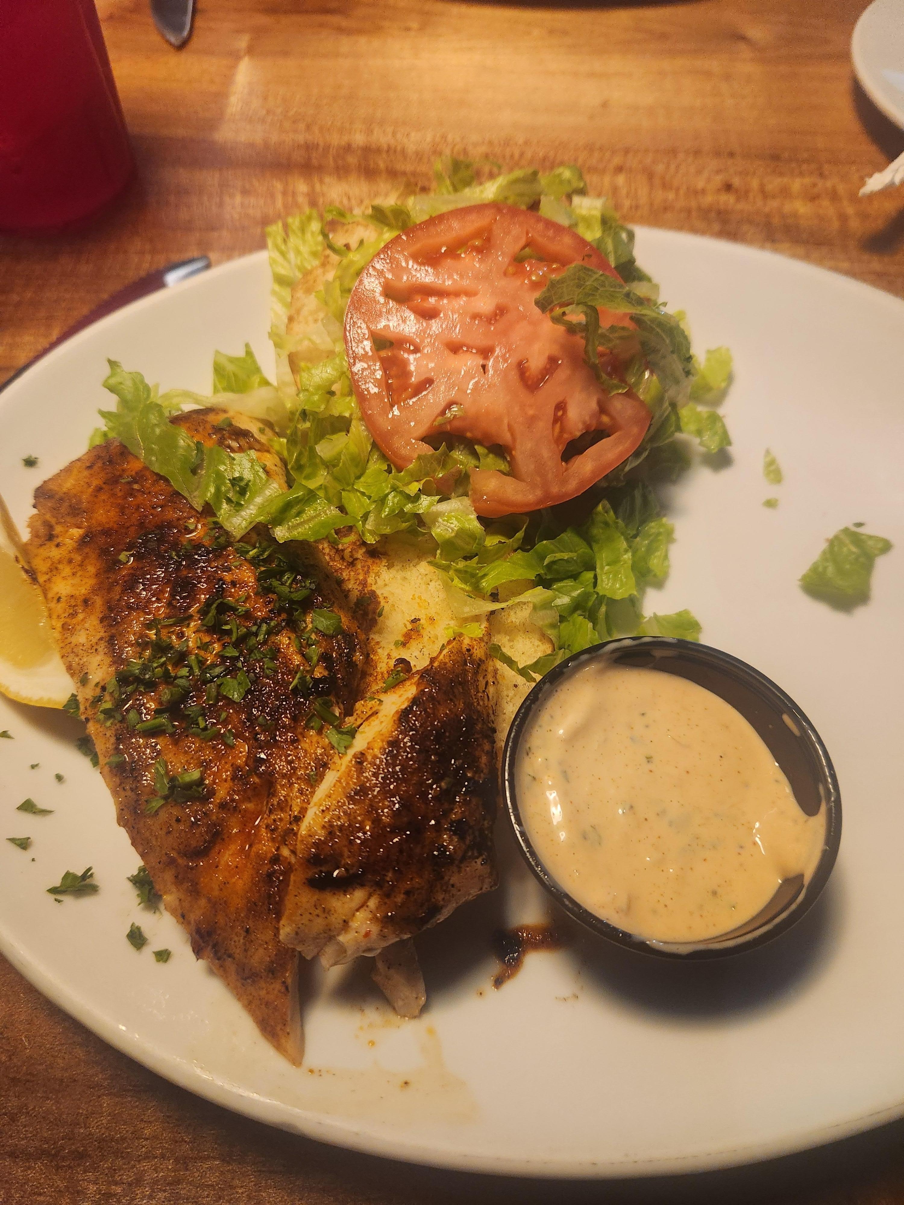 Blackened Mahi Mahi sandwich at The Half Shell Restaurant. Fresh oysters. And Fresh Catch Great Place