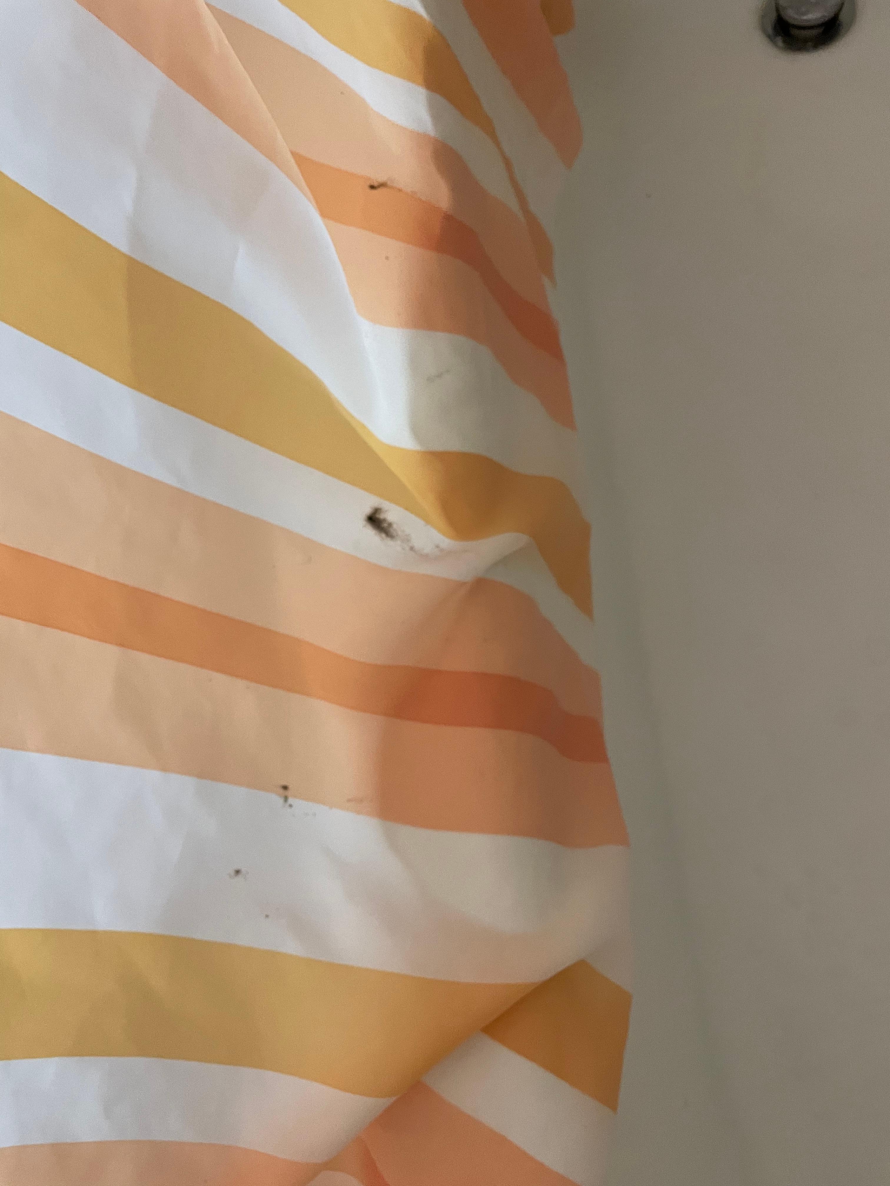 All the shower curtain had mold. 