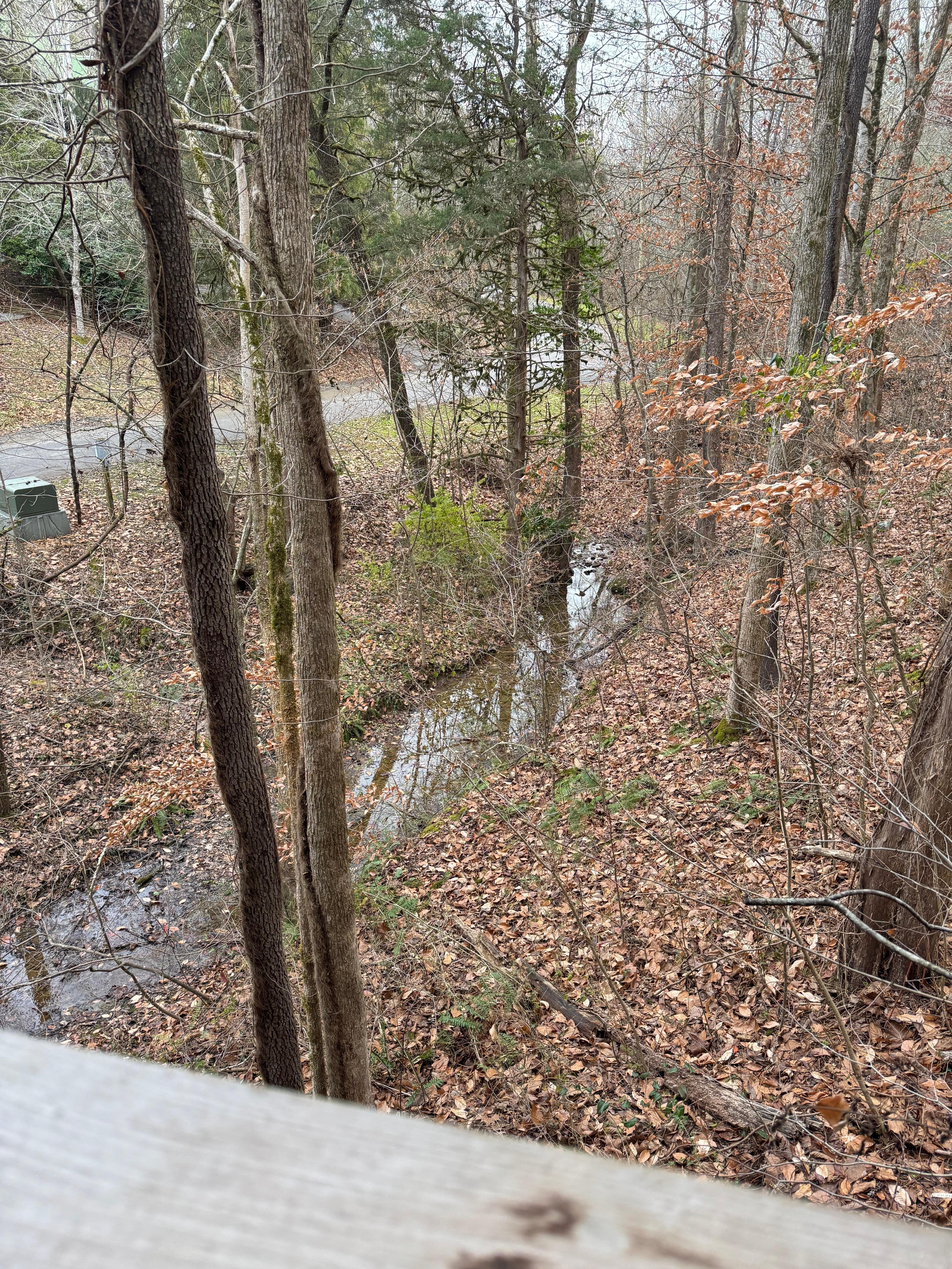 View from back balcony 