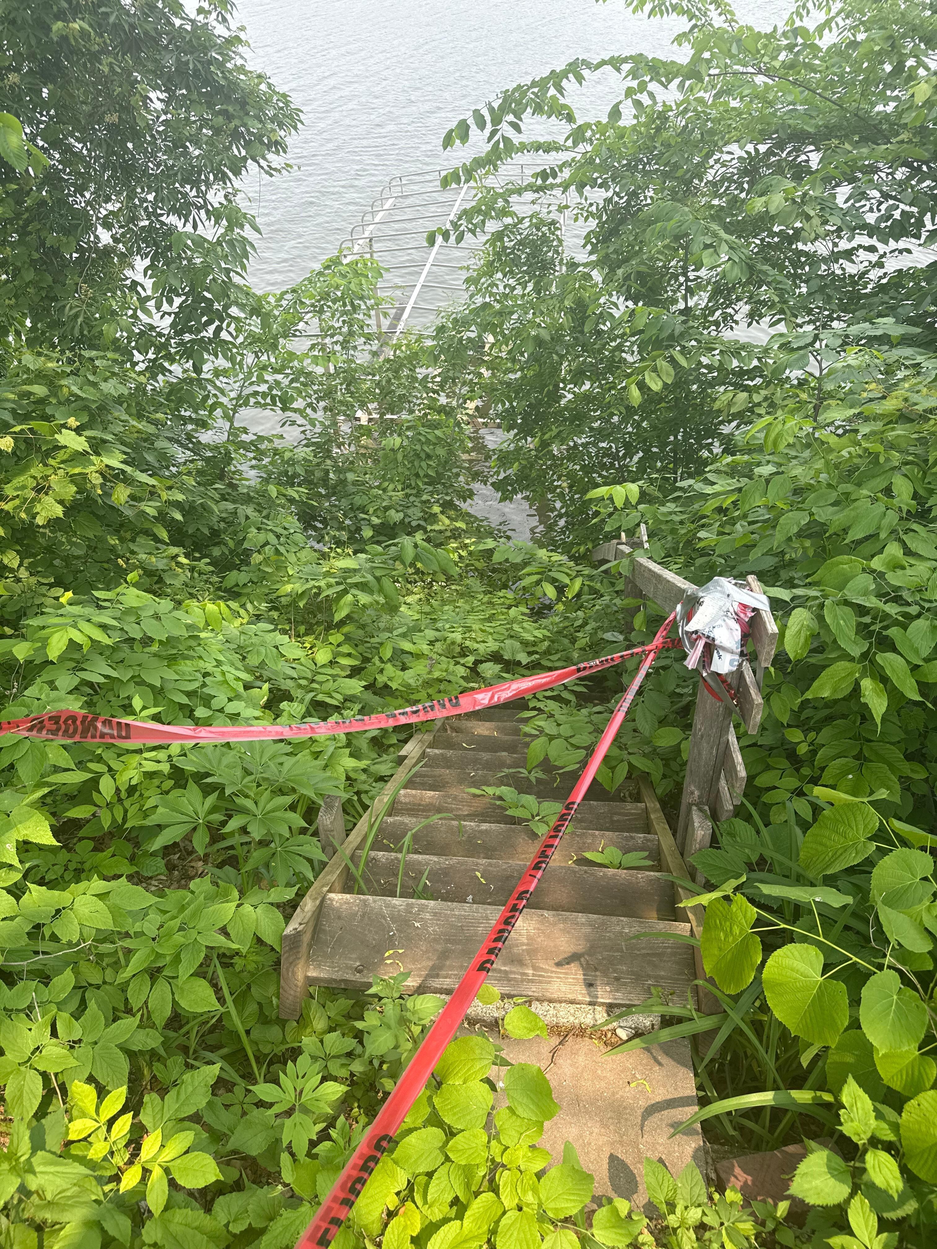 The stairs and lake level ground were completely overgrown.