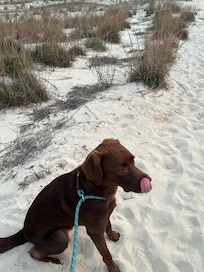 First time at the beach
