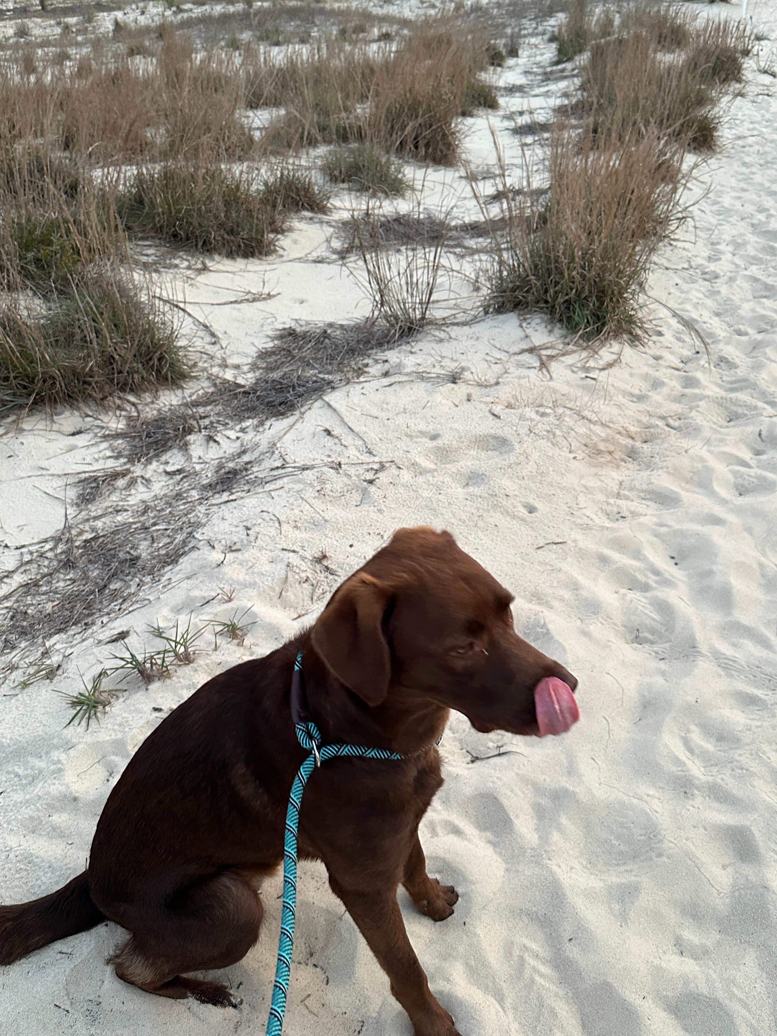 First time at the beach