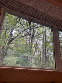 View from bed