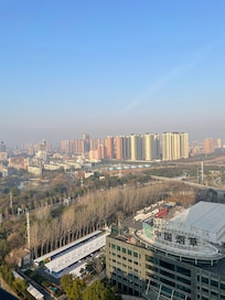 客室からの風景