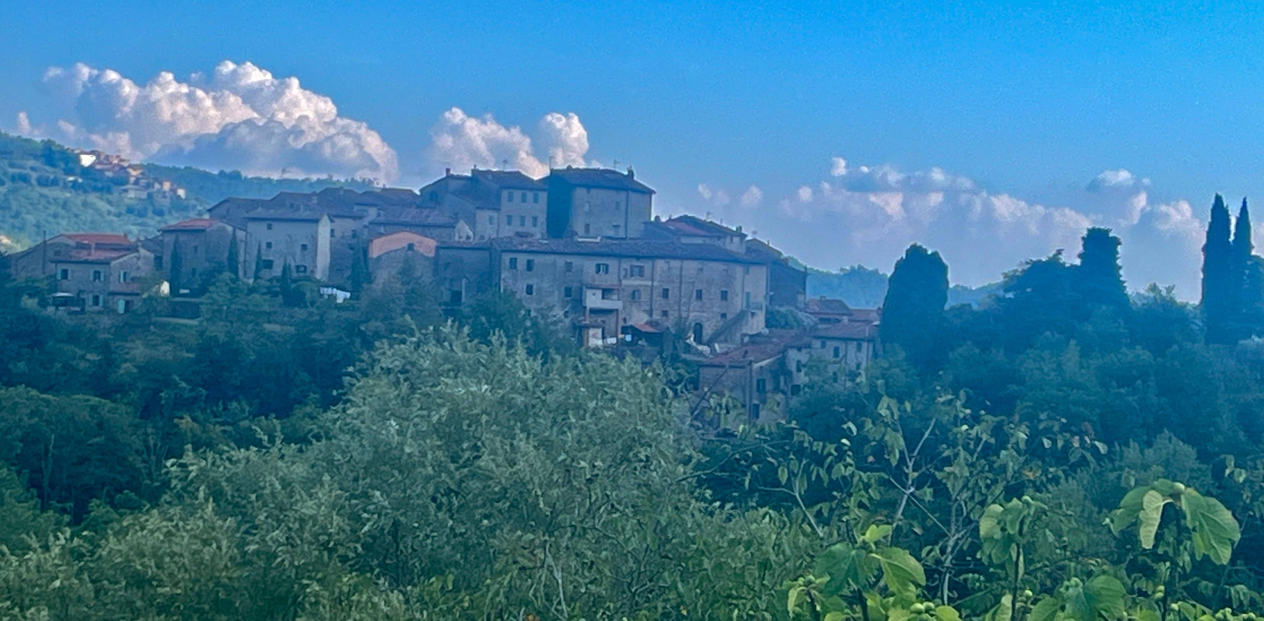 Castelvechio from the garden. 
