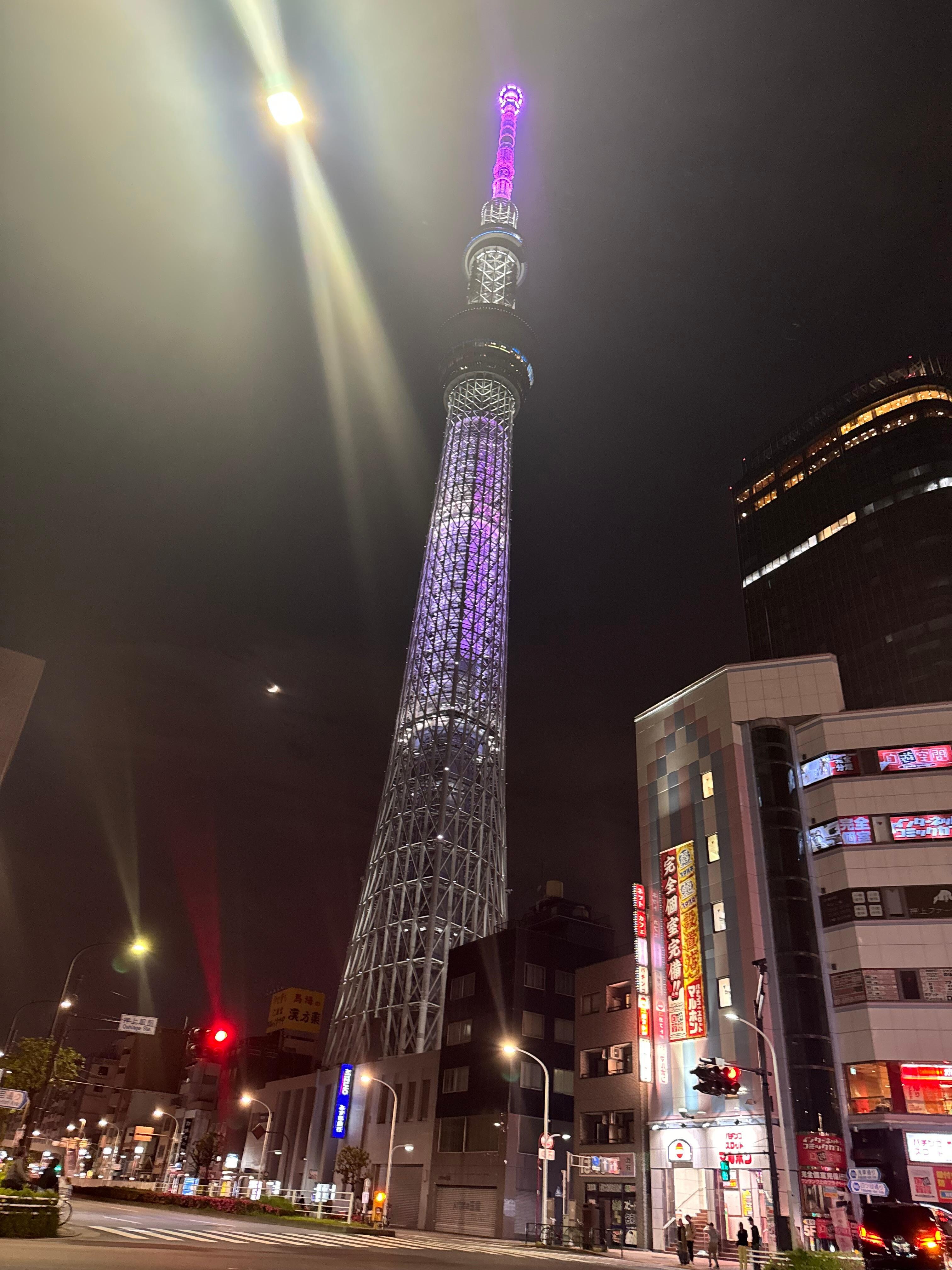 Skytree nearby exudes beauty with its lights on. 