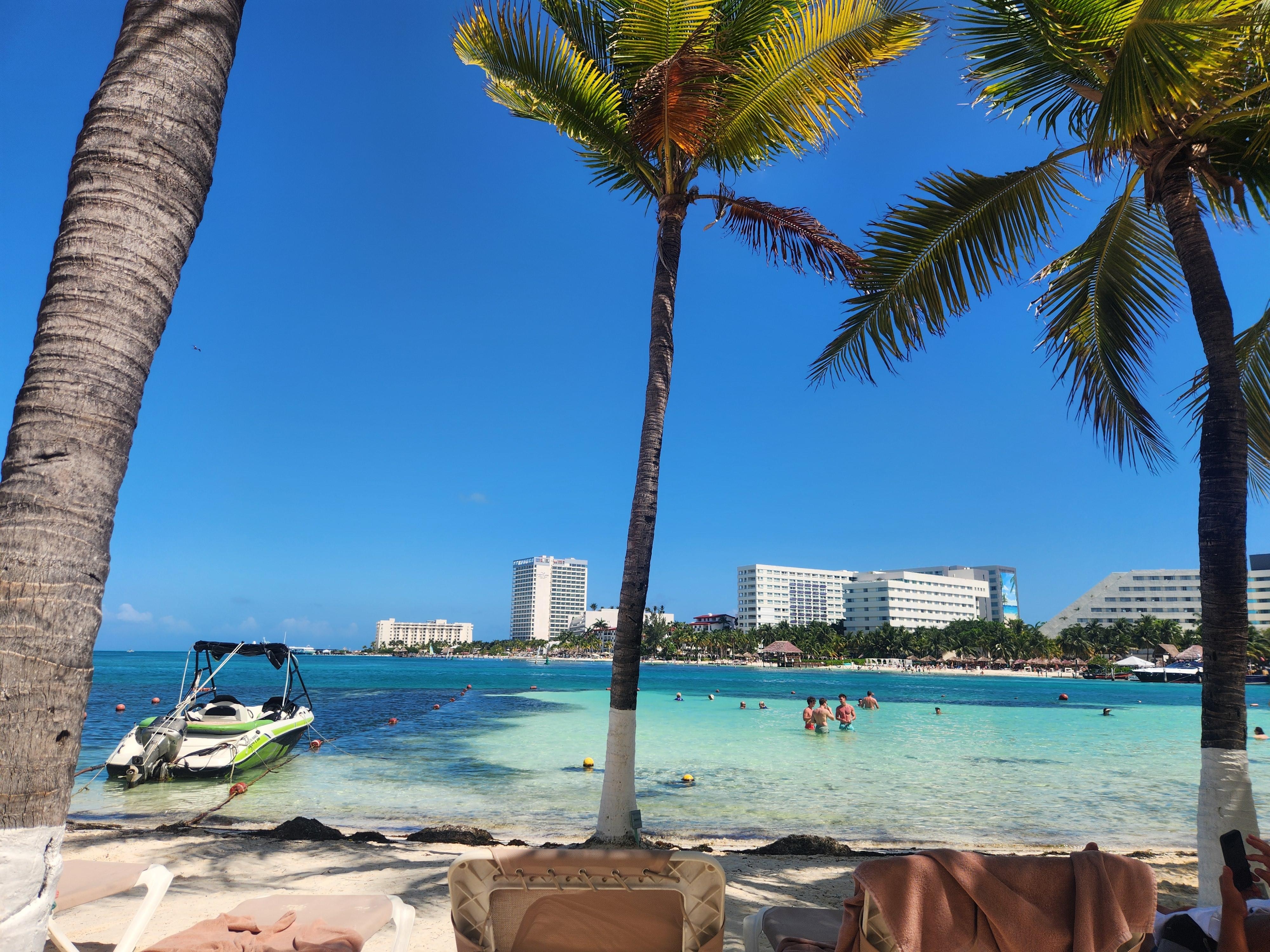 Lots of palm trees.  So beautiful. 