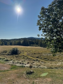 View from back deck