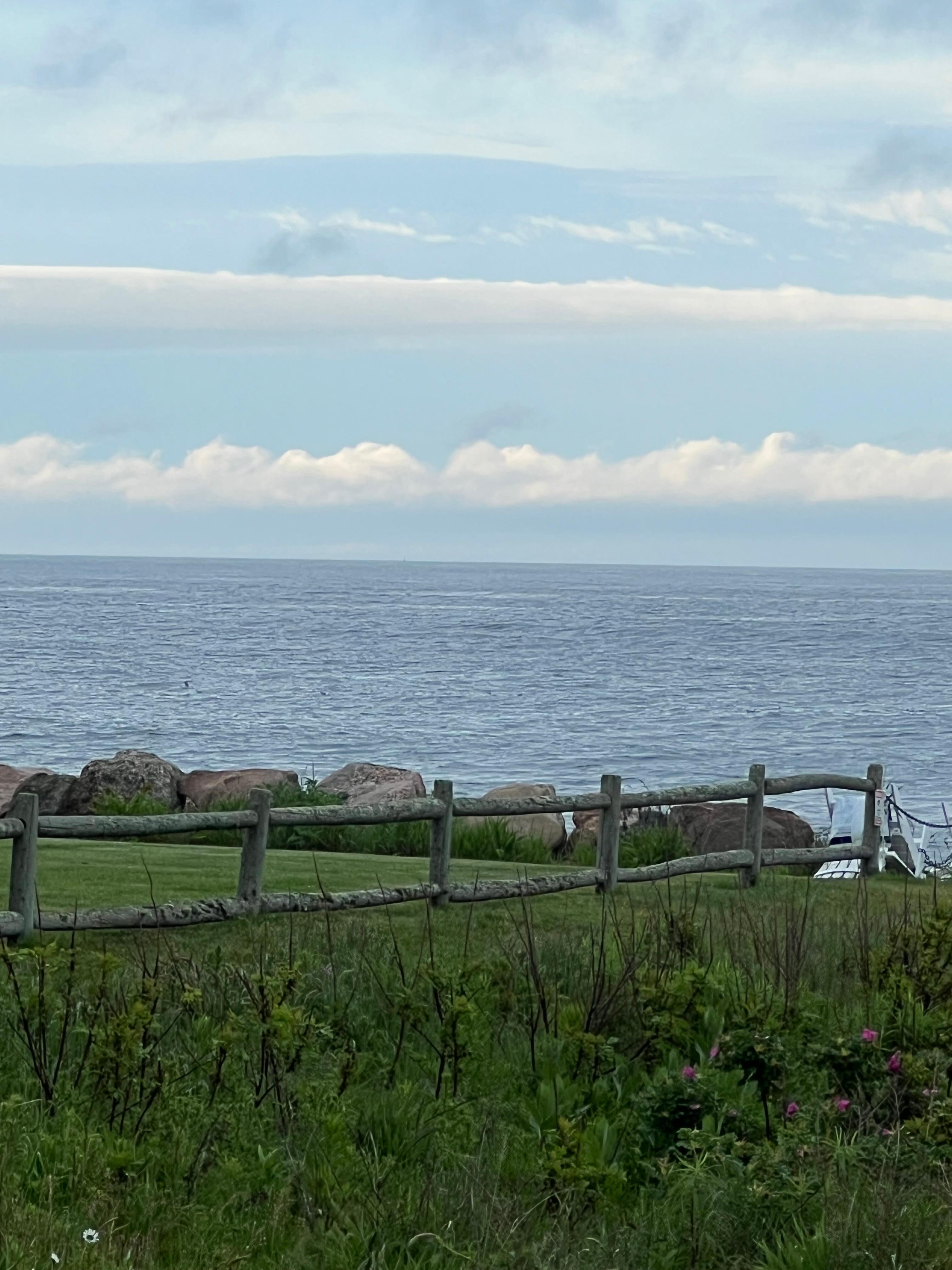 View from the back porch.