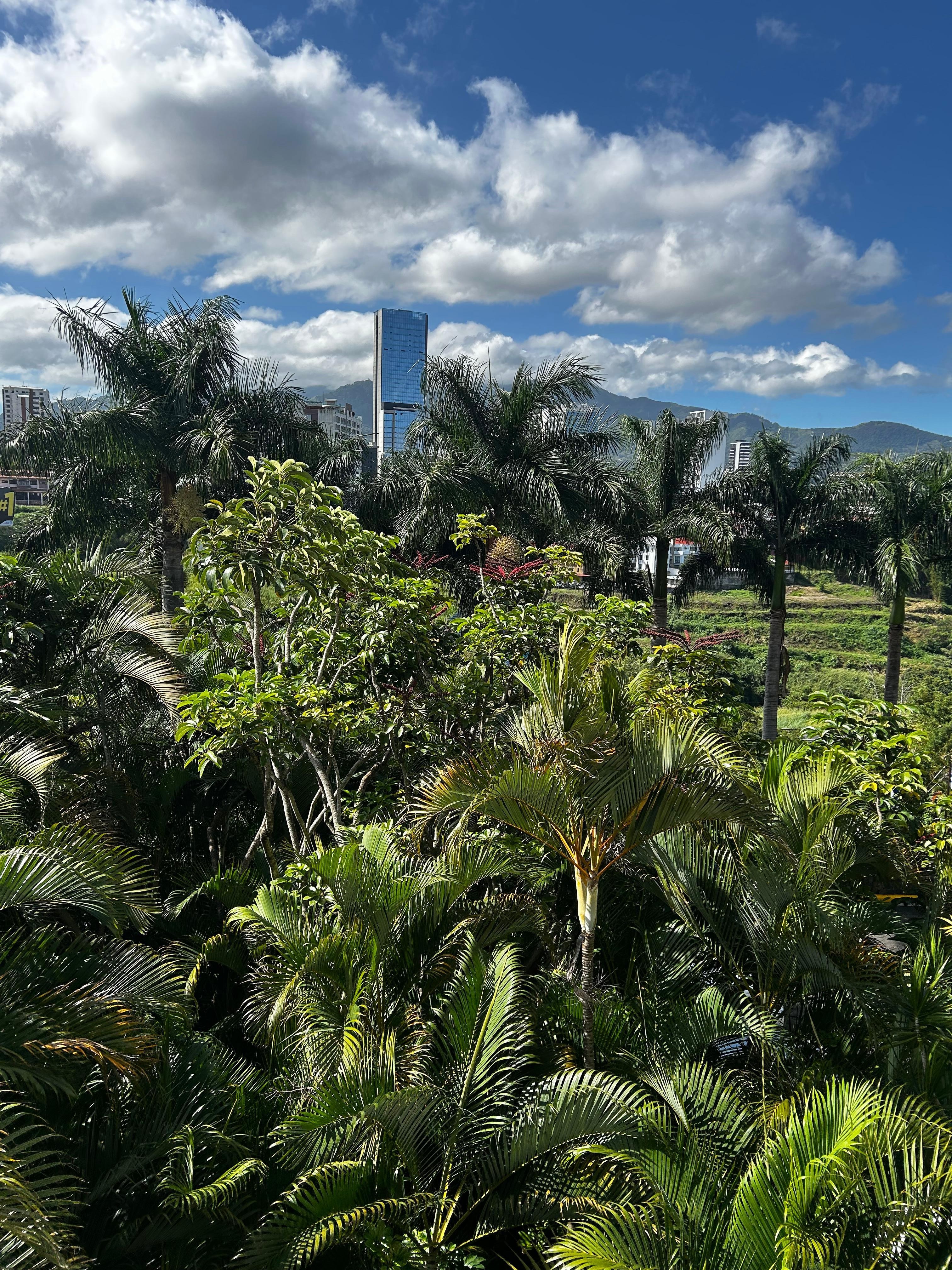 Views from hotel room window 