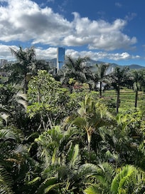 Views from hotel room window