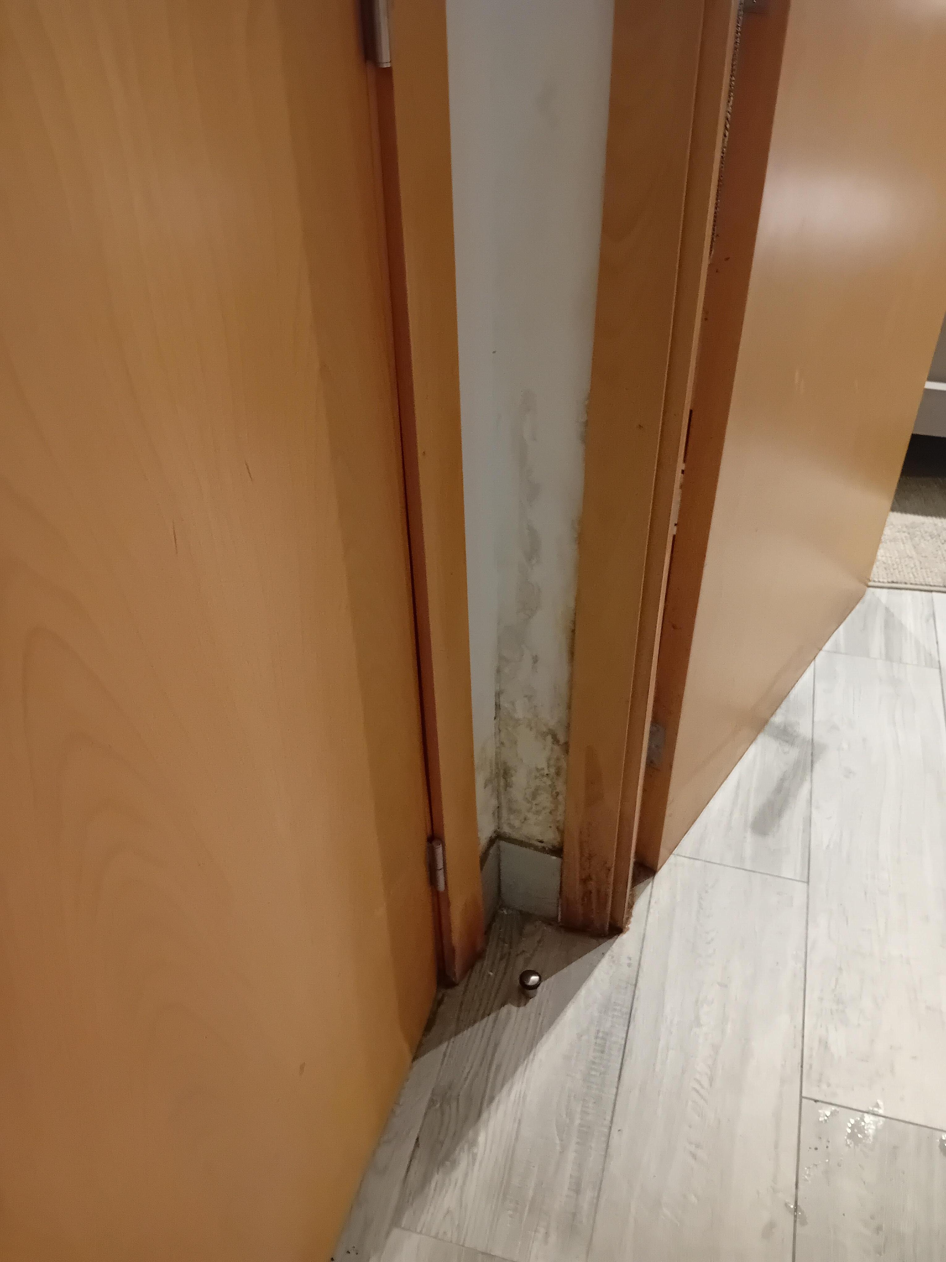Bathroom door frame
