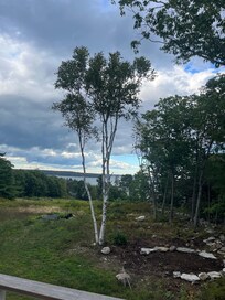 Afternoon view from the deck.
