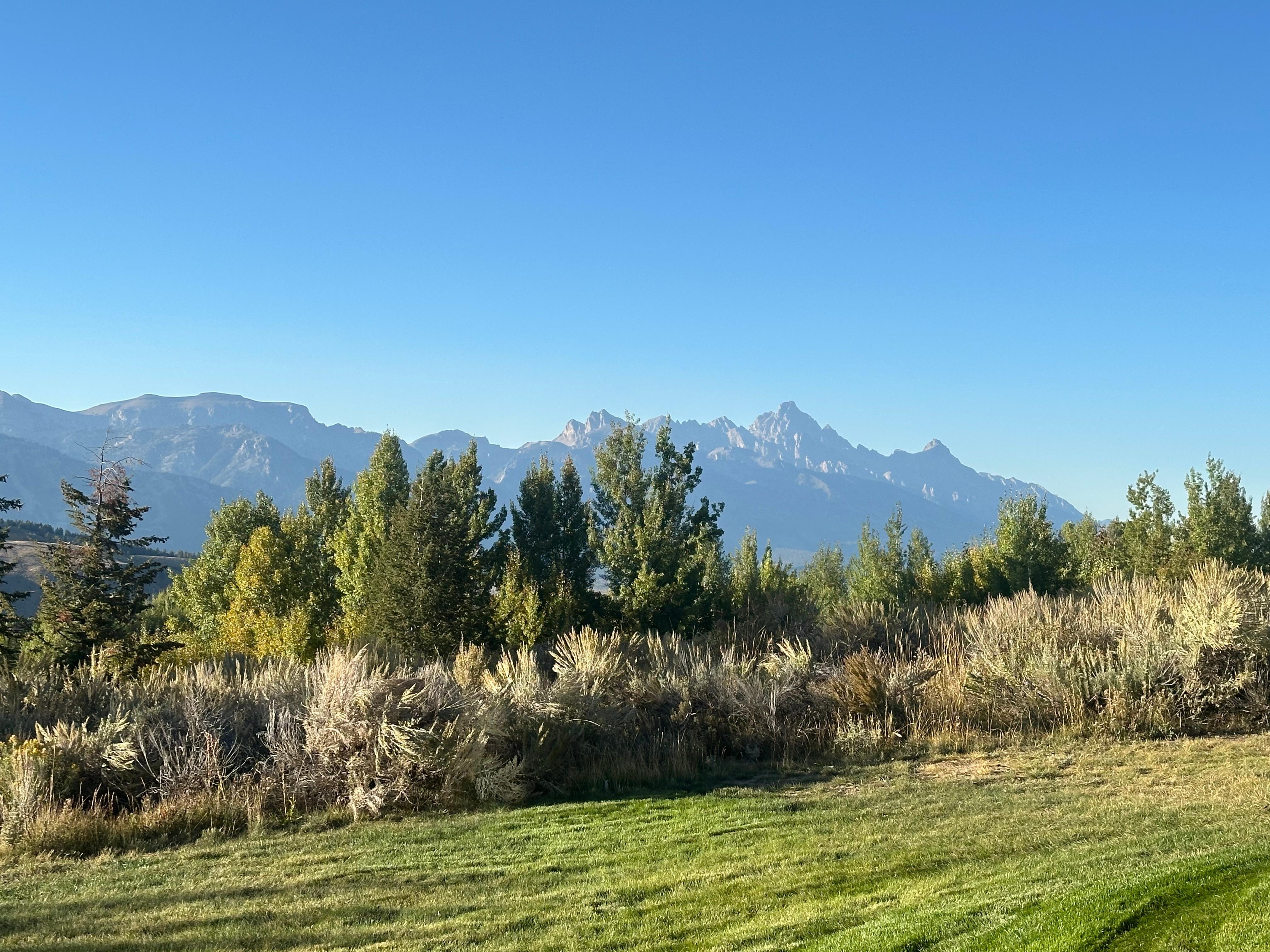 view from the patio and living area