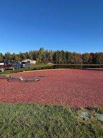 Cranberry bog at Degrandchamp Farms