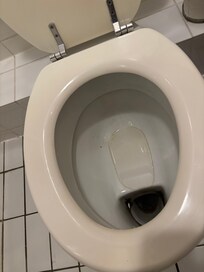 Toilet uses a shallow poop shelf