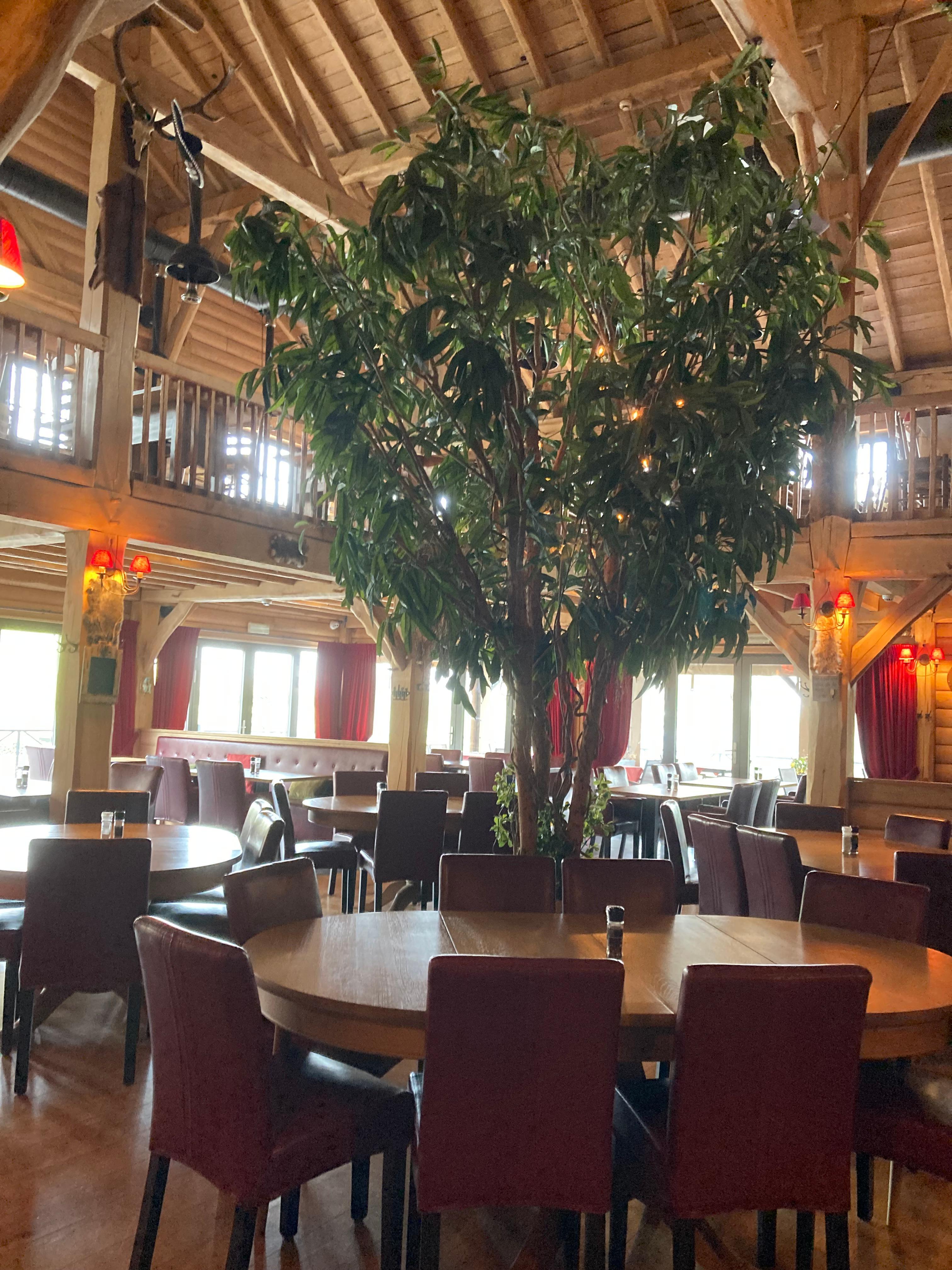 Large restaurant