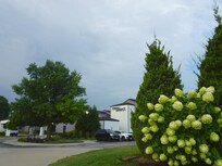 Hotel from the street