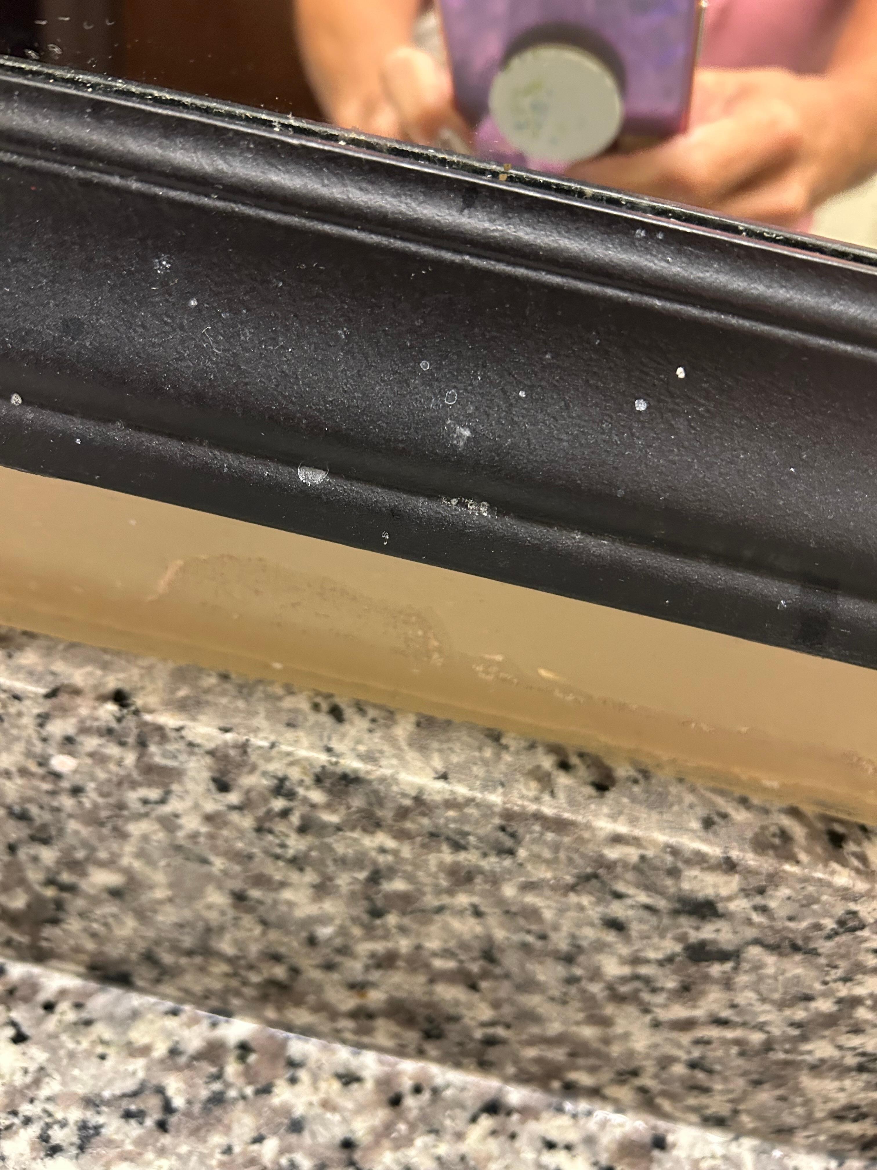 Dirty mirrors- hair on the shower